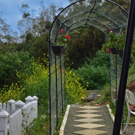 Newbury Villa Nuwara Eliya Eksteriør billede